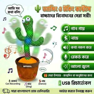 🌵🎶 Talking & Dancing Cactus Toy